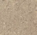 Hazelnut Shake