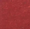 Lobster Red
