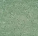 Leaf Green