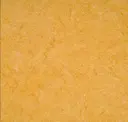 Golden Yellow