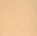 Desert Beige