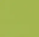 Parakeet