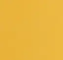 Maize