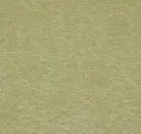 Palm