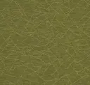 Grasshopper