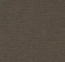 Cocoa