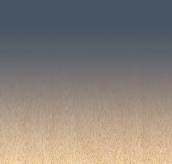 Main