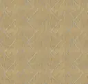 Sahara