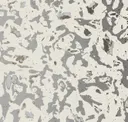 Silver Shimmer