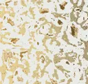 Gold Shimmer
