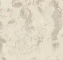 Oyster