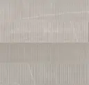 Bone
