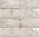 Fossil