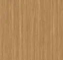 Elm