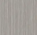 Sycamore