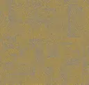 Maize