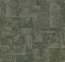Moss