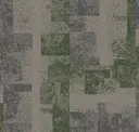 Nickel Moss