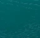 Division Blue Green