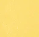 Division Yellow