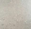 Silver Beige