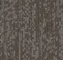 Light Elm