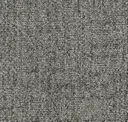 Light Carbon