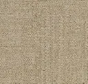Sand Dune