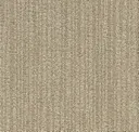Sand Dune