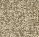 Sand Dune