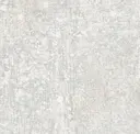 Glacier