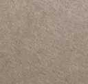 Pebble
