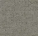 Taupe Tones