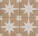 Tan Star