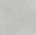 Ash