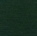 Spruce