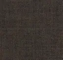 Copper Brown