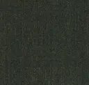 Dark Grass