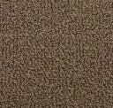Harvest Brown