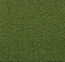 Festive Green
