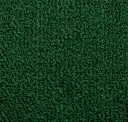 Sprout Green