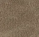 Sahara