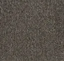 Taupe Mist