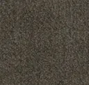 Gray Bark