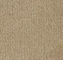 Beige Chiffon
