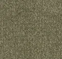 Fjord Green