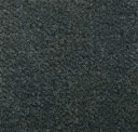 Grizzle Gray