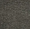 Rock Shell