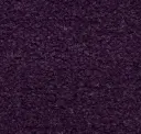 Elderberry