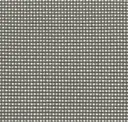 Silverfox